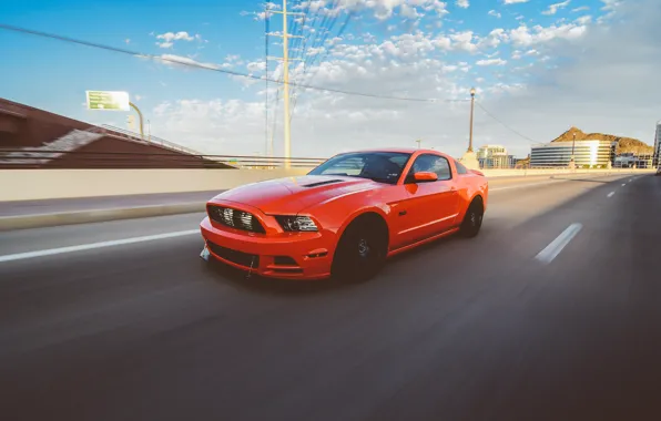 Picture Mustang, Ford, Mustang, GTR, red