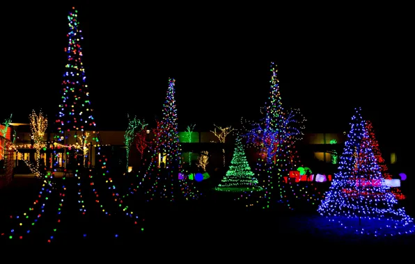 Night, design, the city, lights, holiday, tree, new year, home