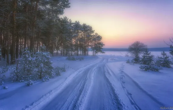 Winter, road, forest, snow, Alexey Malygin