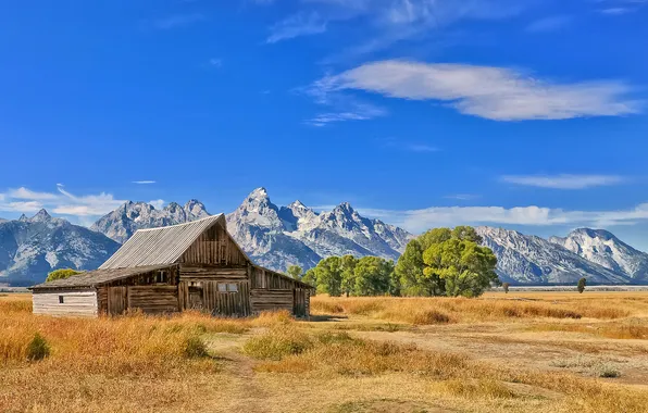 Greens, grass, trees, mountains, house, old, Sunny, dry