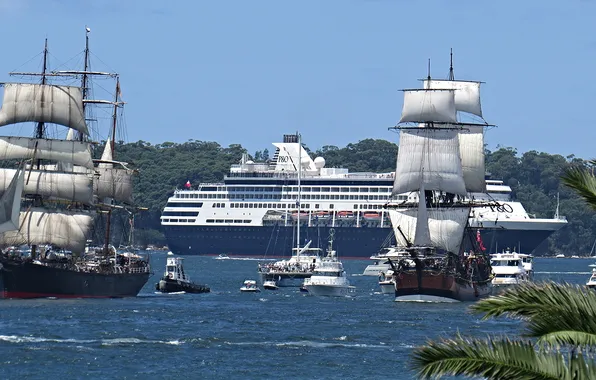 Sea, ships, liner, sailboats