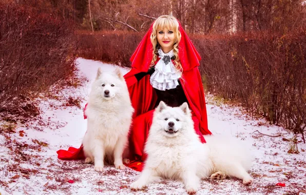 Picture dog, blonde, cloak