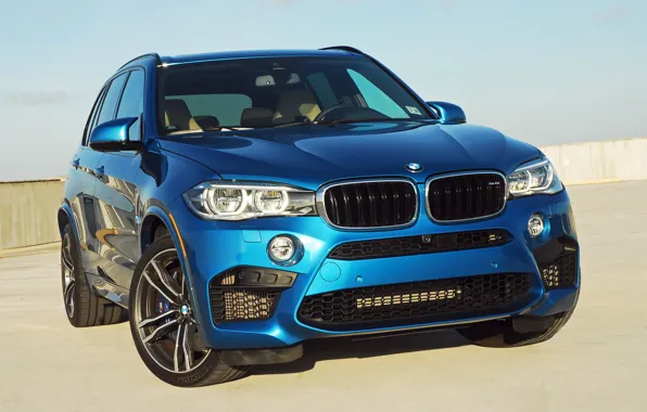 Picture BMW, BMW, crossover, X5 M, F85