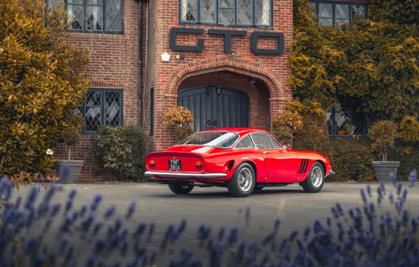 Picture Ferrari, 1963, 250, rear view, Ferrari 250 GT Fantuzzi Berlinetta Luxury