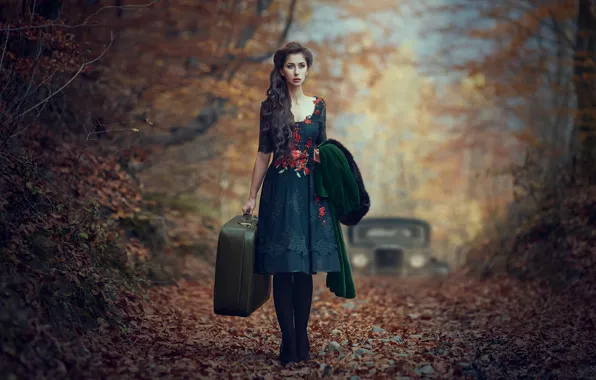 Machine, auto, autumn, girl, mood, foliage, dress, suitcase