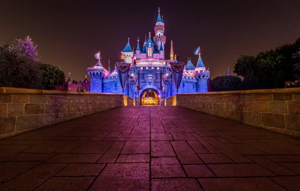 Night, castle, area