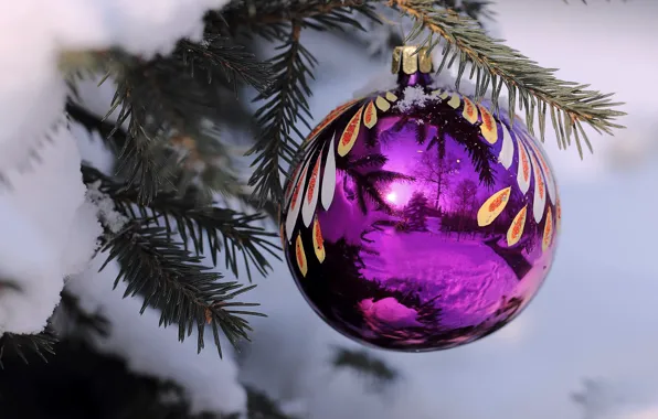 Picture purple, snow, landscape, reflection, holiday, tree, ball, spruce