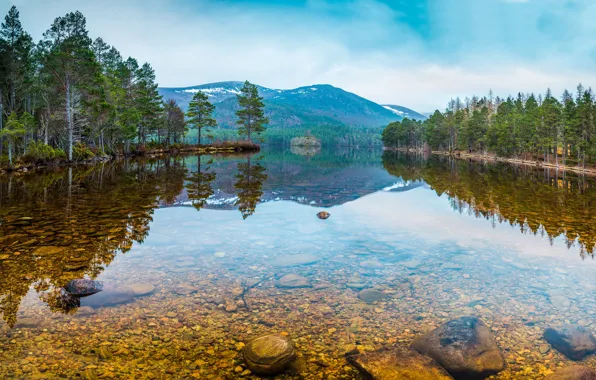 Picture forest, water, trees, mountains, nature, lake, stones, Russia
