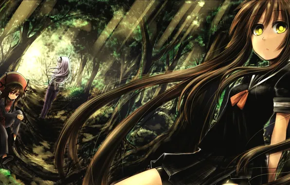 Picture forest, light, trees, nature, girls, anime, art, form