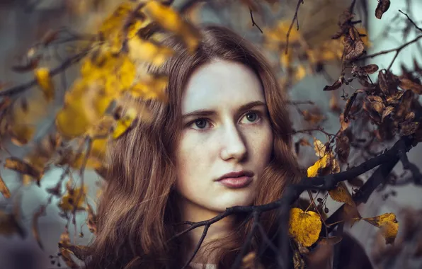 Autumn, look, girl, portrait