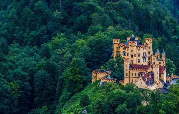 Forest, castle, Germany, Bayern, Hohenschwangau
