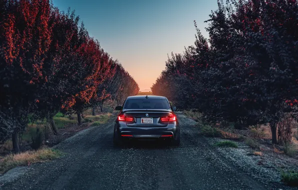 Picture BMW, German, Car, Sunset, 335i, Sport, Rear, F80