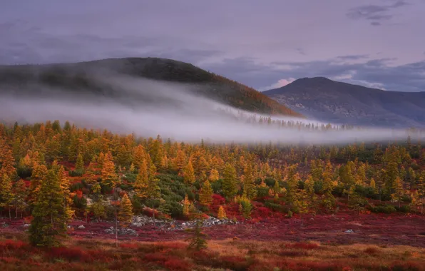 Autumn, forest, the sky, mountains, fog, hills, slope, haze