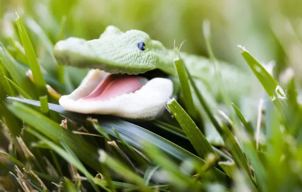 Grass, crocodile, Toy