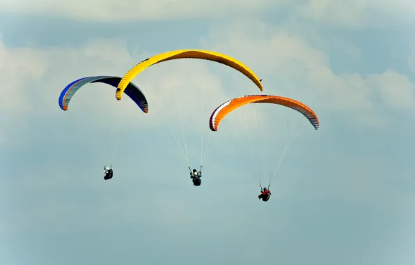Photo, The sky, Sport, Three, Parachuting, skydiving