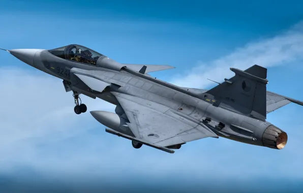 Picture the sky, clouds, combat aircraft, Can JAS 39C Gripen