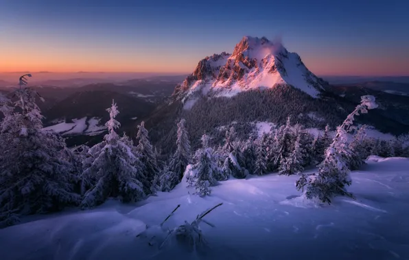 Picture winter, snow, landscape, sunset, mountains, nature, forest, Slovakia