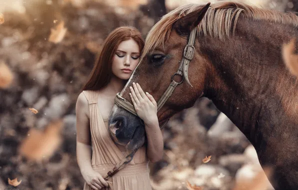 Picture look, leaves, girl, horse, Alessandro Di Cicco
