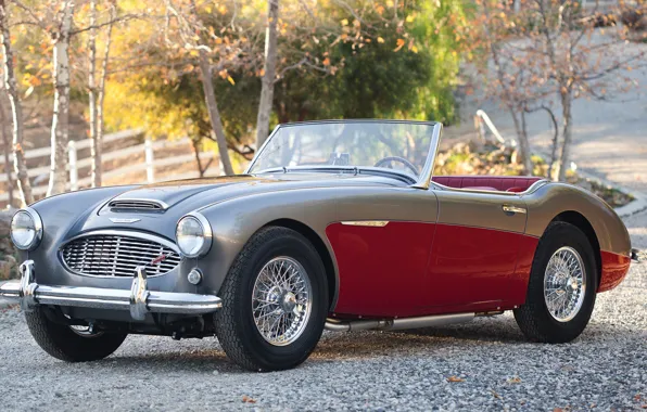 Picture retro, Roadster, convertible