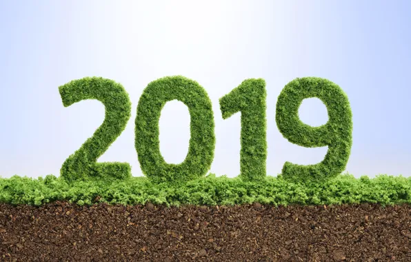 Picture new year, texture, figures, New Year, 2019