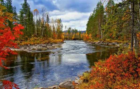 Picture autumn, landscape, nature, river