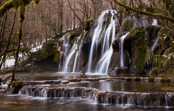 Picture forest, trees, river, waterfall, cascade