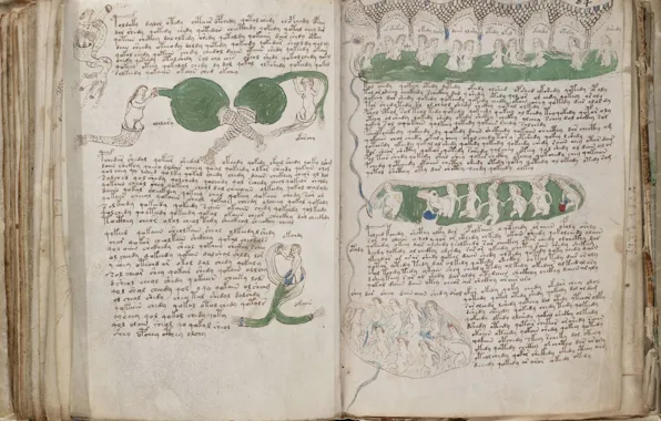 Book, Voynich, The manuscript, The Voynich Manuscript, Manuscript, Voynich