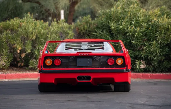 Ferrari, F40, 1990, Ferrari F40