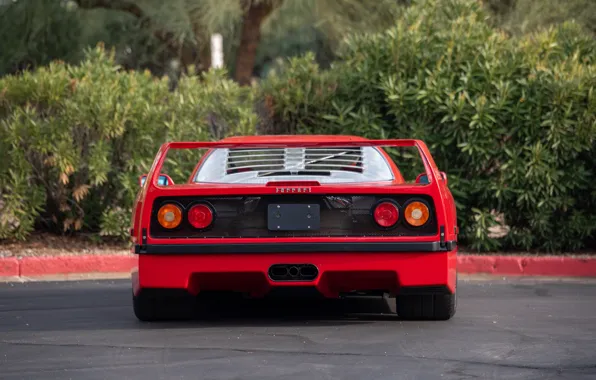 Picture Ferrari, F40, 1990, Ferrari F40