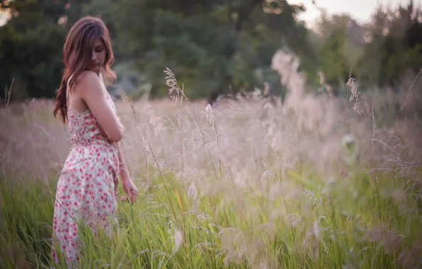 Field, summer, girl