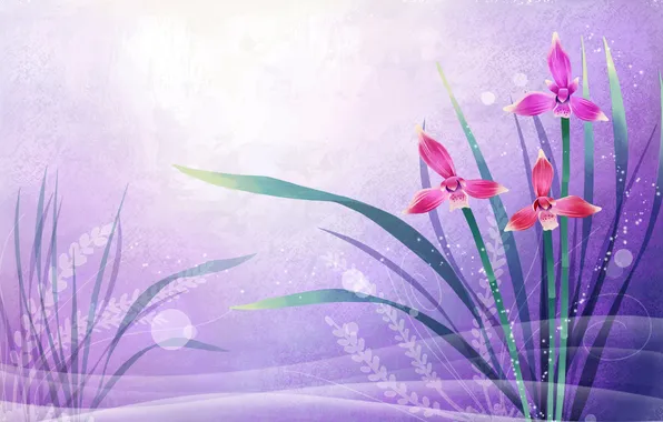 Leaves, light, Wallpaper, figure, petals, postcard, applique