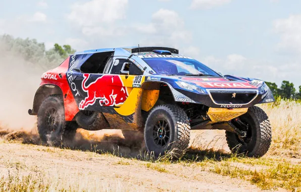Sand, 2008, Sport, Speed, Race, Dirt, Peugeot, Lights