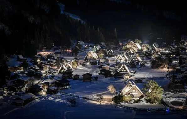 Winter, forest, snow, mountains, night, holiday, home, town