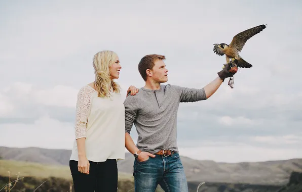 Field, mountains, pair, hawk, gray clouds