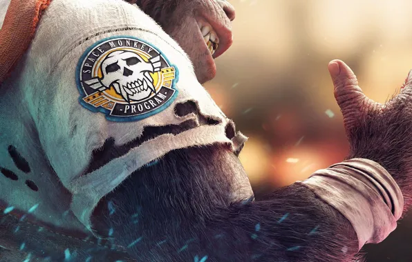 Sake, game, monkey, fang, coat of arms, Beyond Good & Evil 2