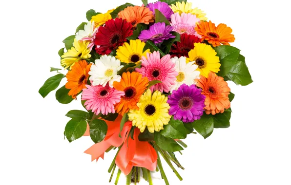 Nature, bouquet, petals, gerbera