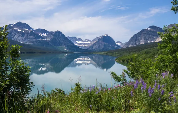 Grass, flowers, mountains, lake, reflection, Montana, Glacier National Park, Rocky mountains