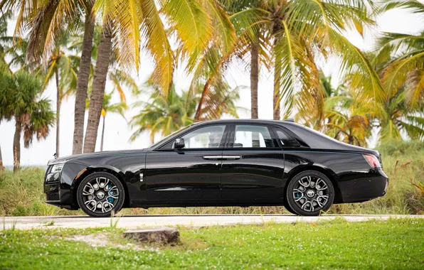 Car, machine, auto, palm trees, background, Wallpaper, technique, car