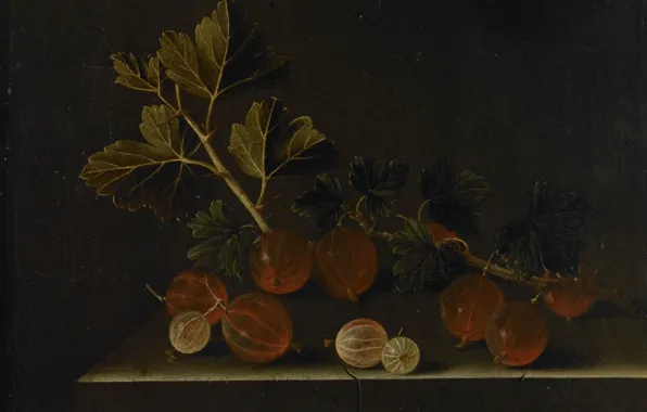 Berries, picture, still life, Adrian Coort, Sprig of Gooseberries on a Stone Pedestal