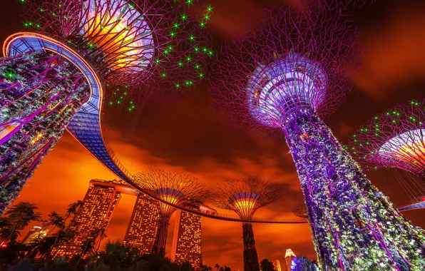 Picture Singapore, Gardens By The Bay, Cloud City