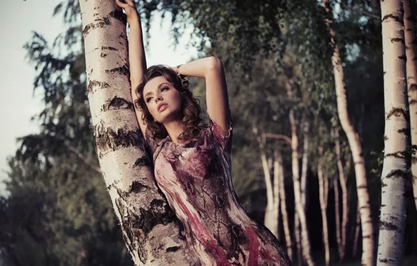 Picture nature, brown hair, trees, trunks, curls, girl, summer, birch