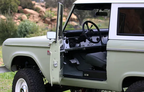 Ford, the door, 2018, Bronco, ICON Old School BR