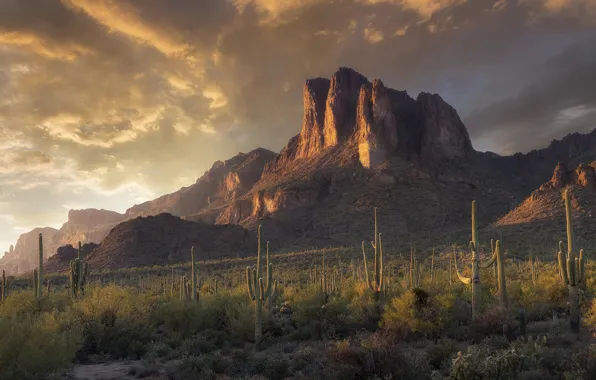 Light, mountains, stones, rocks, desert, tops, slope, cacti