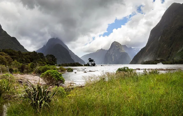 Picture greens, grass, clouds, trees, mountains, river, rocks, New Zealand
