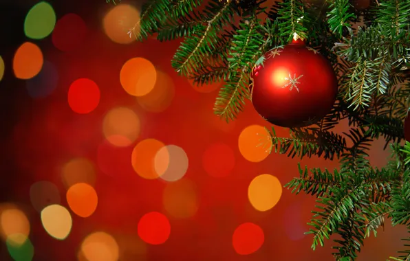 Branches, red, glare, background, holiday, balls, toy, tree