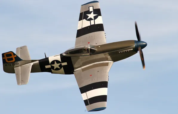Mustang, fighter, P-51D, single