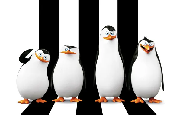Picture cartoon, Rico, Skipper, Kowalski, Classified, Corporal, Penguins of Madagascar, Kowalski