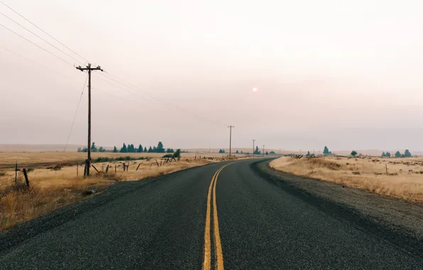 Picture road, field, autumn