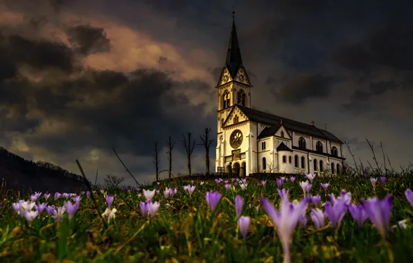 Picture trees, flowers, clouds, hills, spring, the evening, crocuses, Church