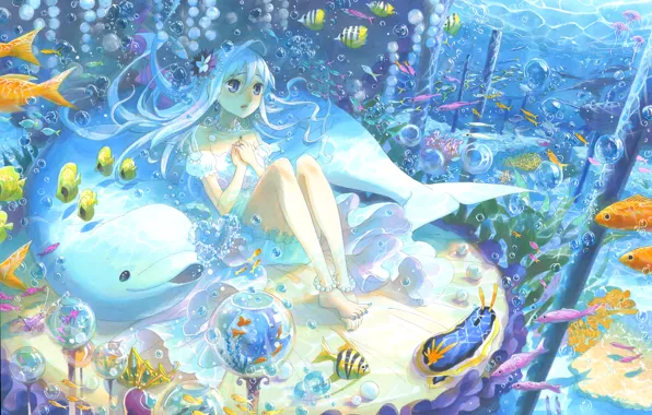 Picture fish, Dolphin, bubbles, art, girl, under water, kyouya kakehiki